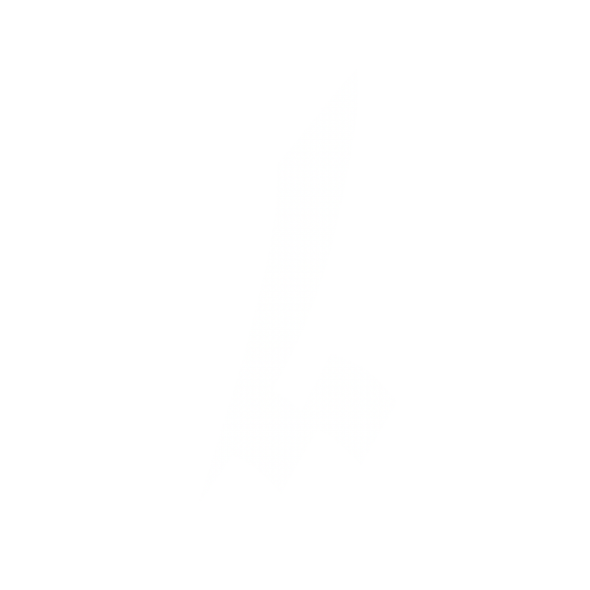 Hundredlevels®